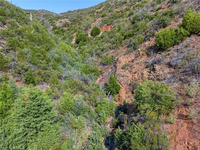 1LOT1 Butts Canyon Rd, Pope Valley, CA 94567 - photo 46