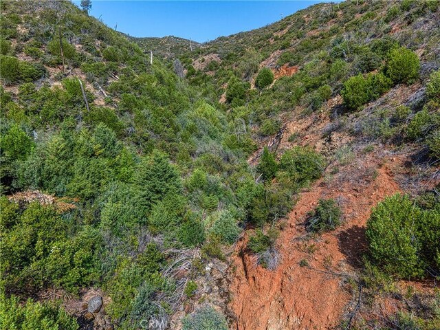 1LOT1 Butts Canyon Rd, Pope Valley, CA 94567 - photo 44
