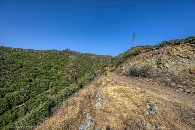 1LOT1 Butts Canyon Rd, Pope Valley, CA 94567 - photo 27