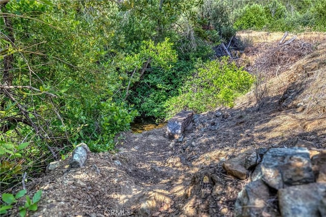 1LOT1 Butts Canyon Rd, Pope Valley, CA 94567 - photo 7