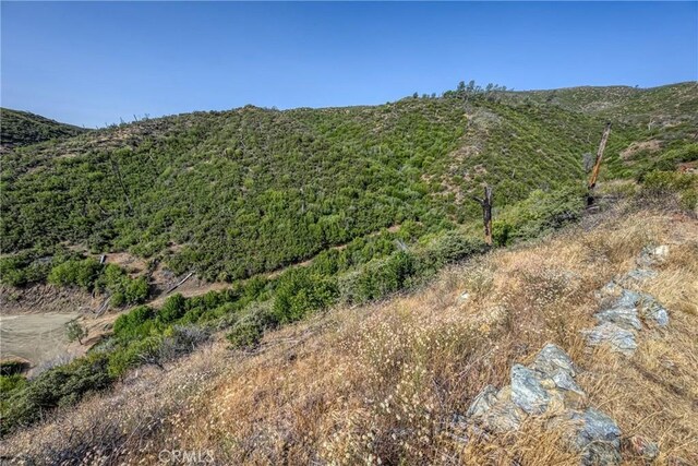 1LOT1 Butts Canyon Rd, Pope Valley, CA 94567 - photo 29