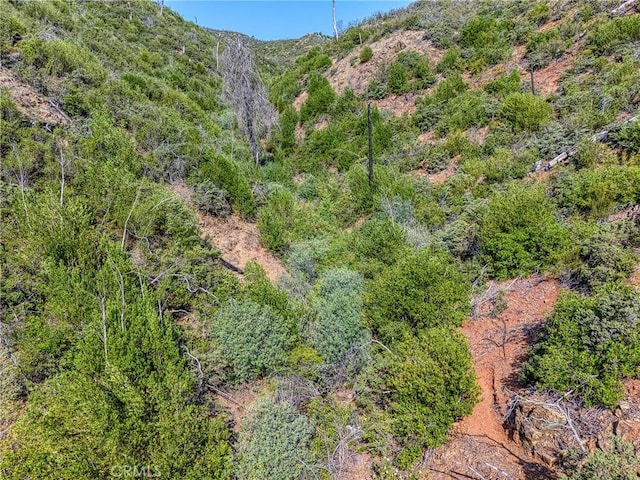 1LOT1 Butts Canyon Rd, Pope Valley, CA 94567 - photo 47