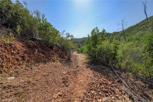 1LOT1 Butts Canyon Rd, Pope Valley, CA 94567 - photo 34