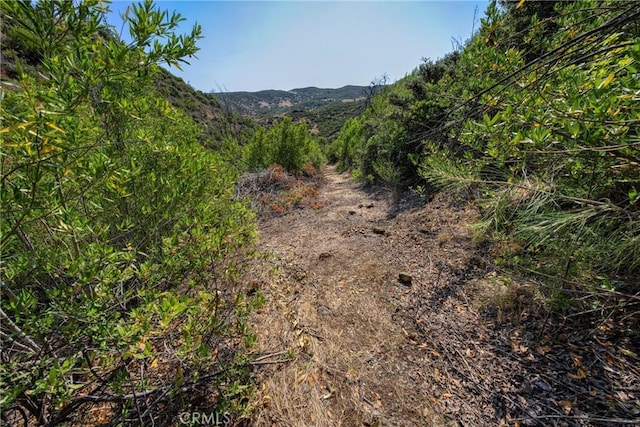 1LOT1 Butts Canyon Rd, Pope Valley, CA 94567 - photo 19