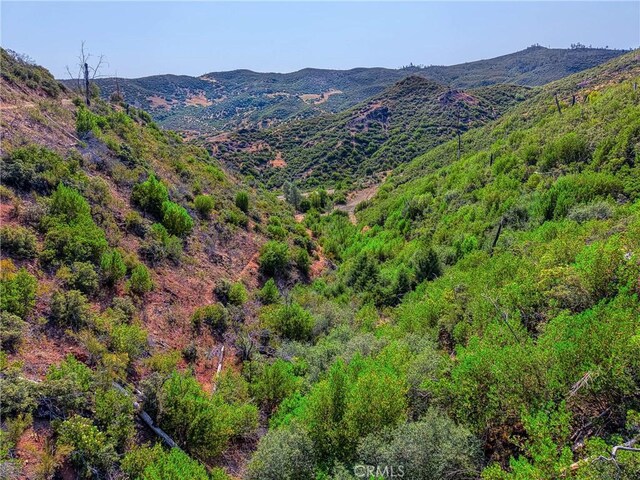 1LOT1 Butts Canyon Rd, Pope Valley, CA 94567 - photo 50