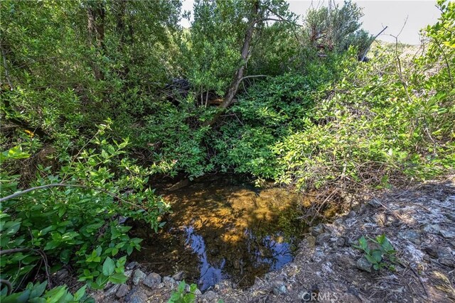 1LOT1 Butts Canyon Rd, Pope Valley, CA 94567 - photo 13