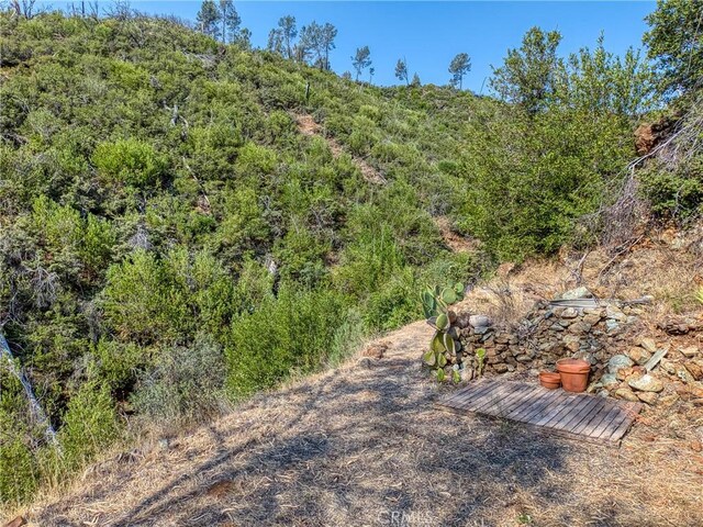 1LOT1 Butts Canyon Rd, Pope Valley, CA 94567 - photo 39