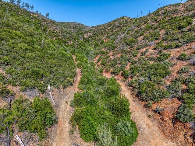 1LOT1 Butts Canyon Rd, Pope Valley, CA 94567 - photo 6
