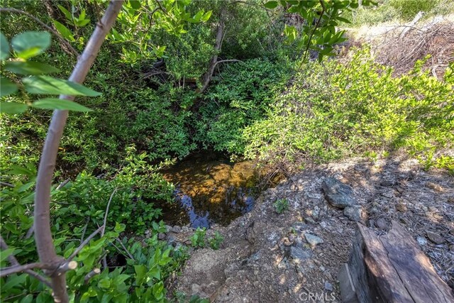 1LOT1 Butts Canyon Rd, Pope Valley, CA 94567 - photo 14