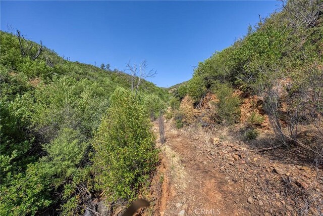 1LOT1 Butts Canyon Rd, Pope Valley, CA 94567 - photo 33