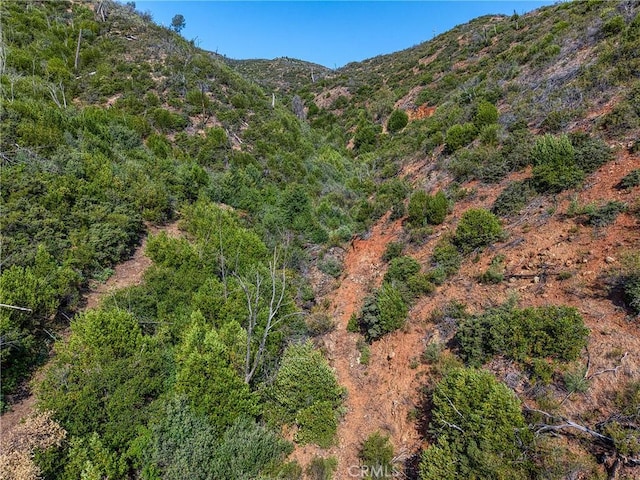 1LOT1 Butts Canyon Rd, Pope Valley, CA 94567 - photo 43