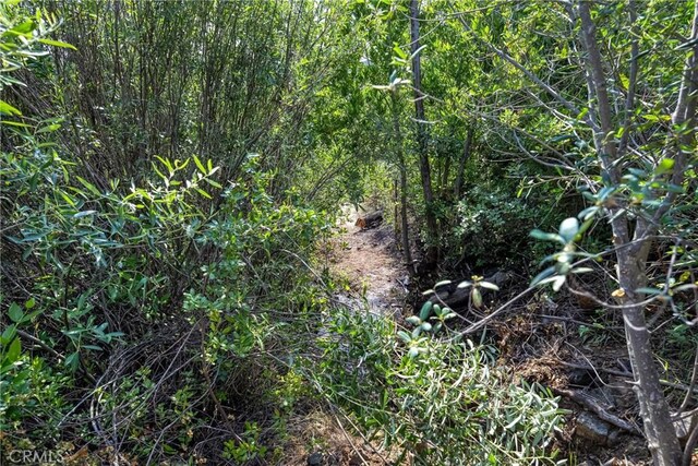 1LOT1 Butts Canyon Rd, Pope Valley, CA 94567 - photo 20