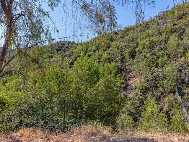1LOT1 Butts Canyon Rd, Pope Valley, CA 94567 - photo 49