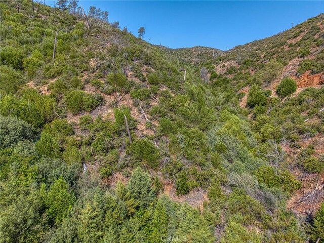 1LOT1 Butts Canyon Rd, Pope Valley, CA 94567 - photo 51