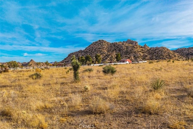 59 Curtis Rd, Pioneertown, CA 92268 - photo 5