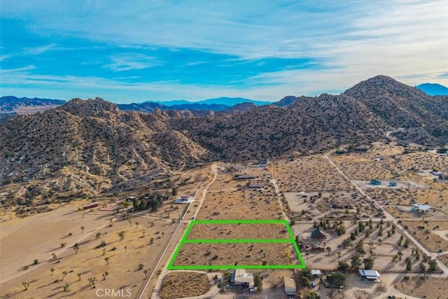 59 Curtis Rd, Pioneertown, CA 92268 - photo 16