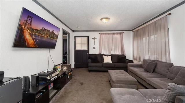 3510 E 2nd St, Los Angeles, CA 90063 - living area with a textured ceiling, carpet, and healthy amount of natural light