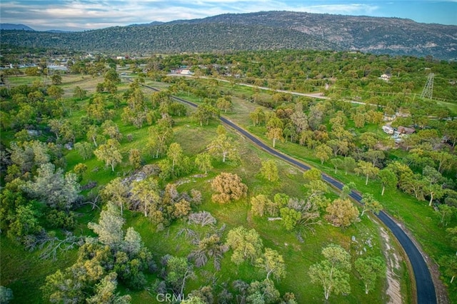 31825 Auberry Rd, Auberry, CA 93602 - photo 40