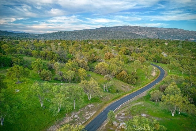 31825 Auberry Rd, Auberry, CA 93602 - photo 39