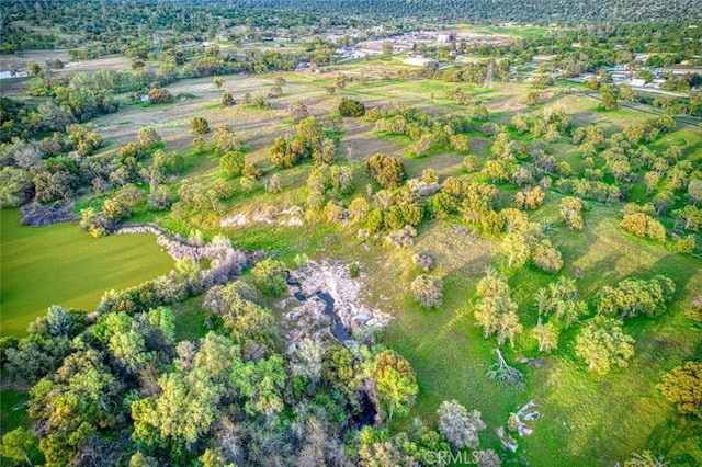 31825 Auberry Rd, Auberry, CA 93602 - photo 30