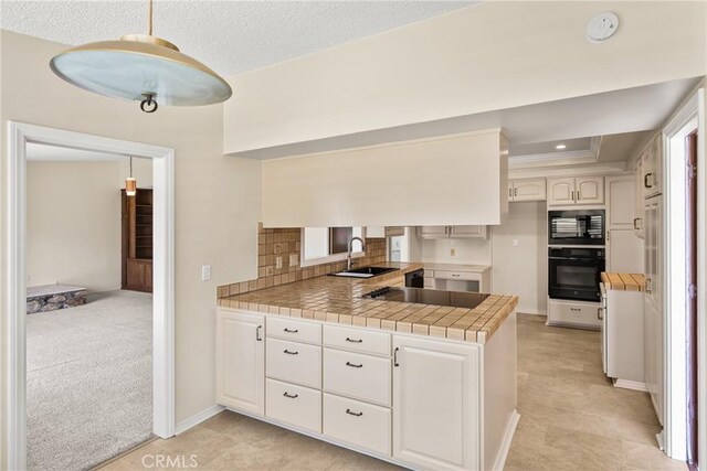 955 S Peregrine Pl, Anaheim, CA 92806 - photo 19