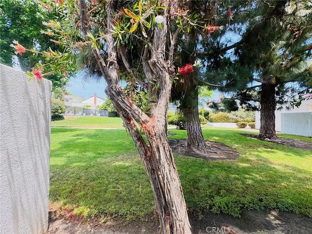 32942 Paseo Del Lucero, San Juan Capistrano, CA 92675 - view of yard