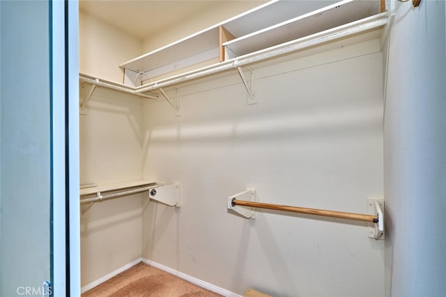 1558 Rockrose Way, Beaumont, CA 92223 - walk in closet featuring carpet