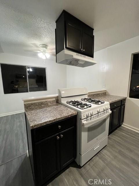 1600 Picadilly Way, Fullerton, CA 92833 - kitchen with white gas range, under cabinet range hood, wood finished floors, ceiling fan, and dark cabinets