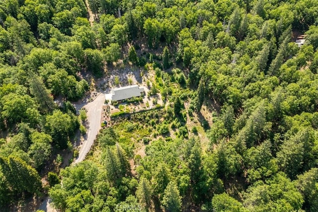 9116 Rocky Rd, Weed, CA 96094 - aerial view of a heavily wooded area