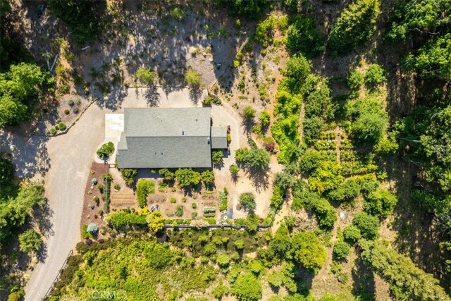 9116 Rocky Rd, Weed, CA 96094 - view from above of property