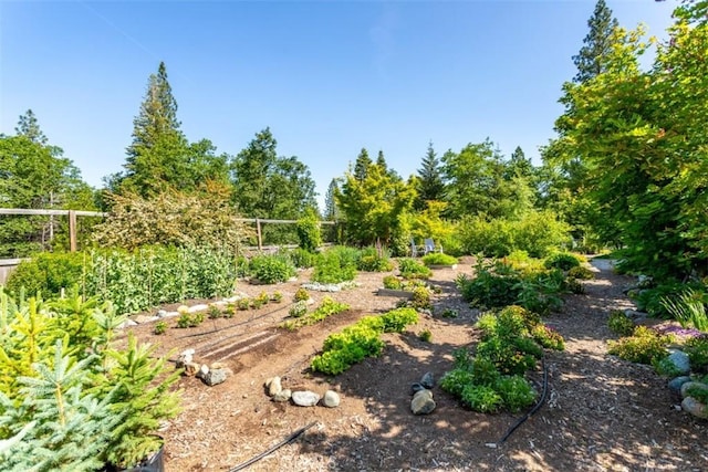 9116 Rocky Rd, Weed, CA 96094 - view of yard with a garden