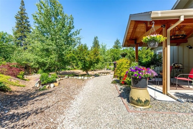 9116 Rocky Rd, Weed, CA 96094 - view of yard