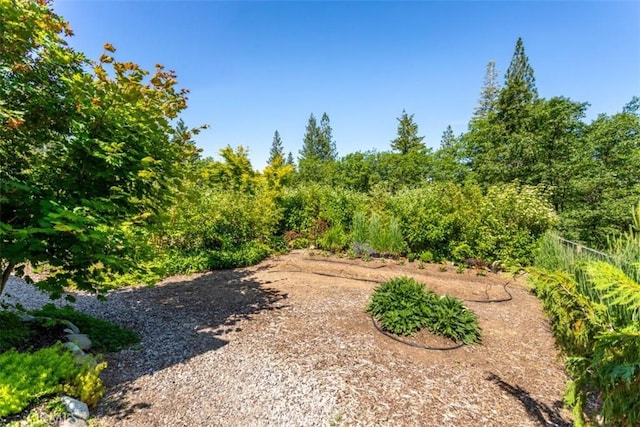 9116 Rocky Rd, Weed, CA 96094 - view of yard