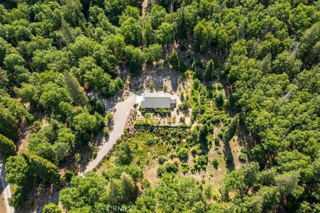 9116 Rocky Rd, Weed, CA 96094 - aerial view