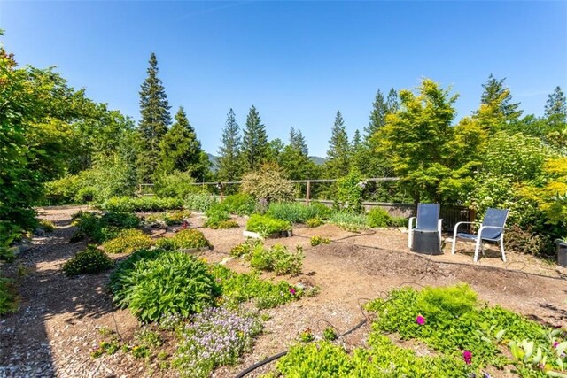 9116 Rocky Rd, Weed, CA 96094 - view of yard