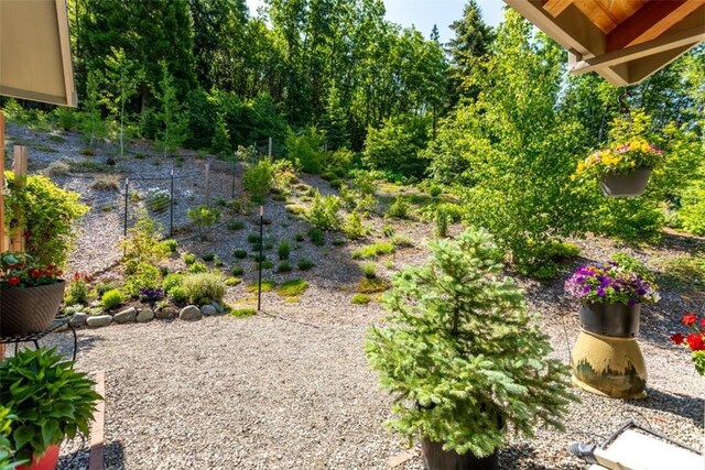9116 Rocky Rd, Weed, CA 96094 - view of yard