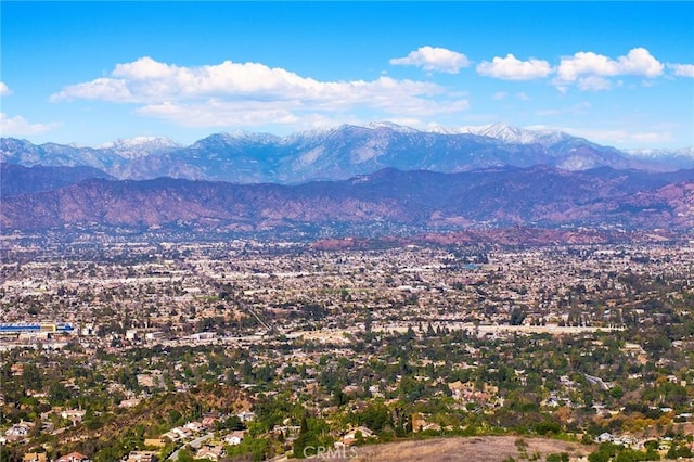 19599 Highland Terrace Dr, Walnut, CA 91789 - mountain view