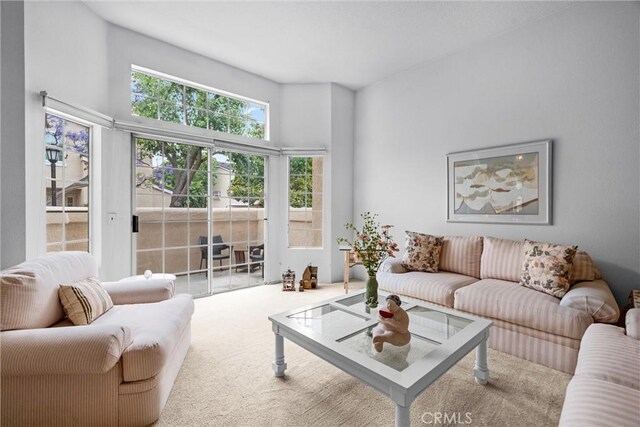 2300 Maple Ave Unit 138, Torrance, CA 90503 - view of carpeted living room