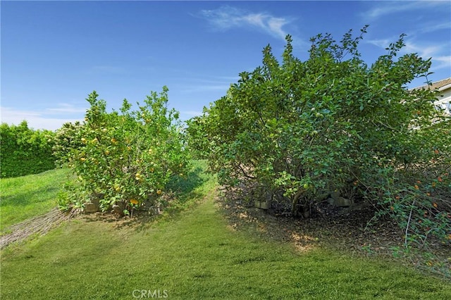 26071 Glen Canyon Dr, Laguna Hills, CA 92653 - photo 54