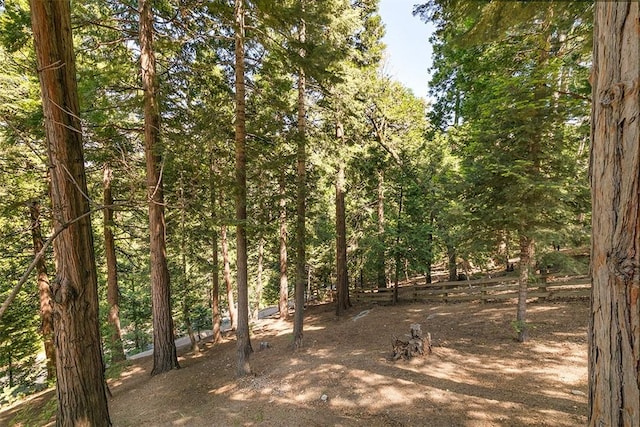 29025 Red Grouse Ct, Lake Arrowhead, CA 92352 - view of woods