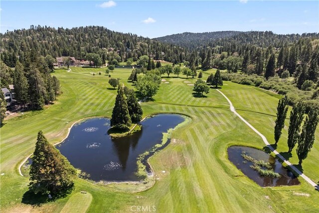 524 Golf Course Rd, Lake Arrowhead, CA 92352 - bird's eye view of a heavily wooded area, a nearby body of water, and a golf course