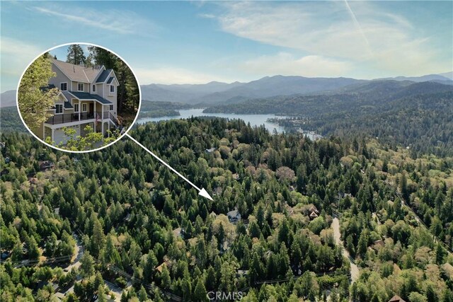 197 Massive Rd, Lake Arrowhead, CA 92317
