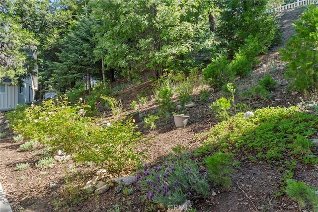 197 Massive Rd, Lake Arrowhead, CA 92317
