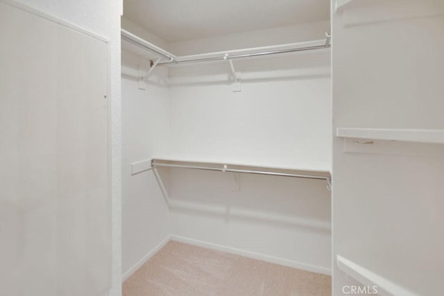 2800 Keller Dr Unit 282, Tustin, CA 92782 - walk in closet with carpet flooring