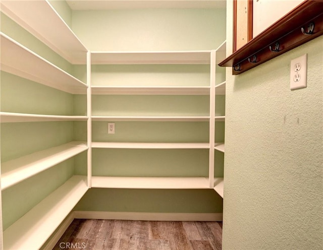 19068 Sunflower Pl, Riverside, CA 92508 - view of pantry