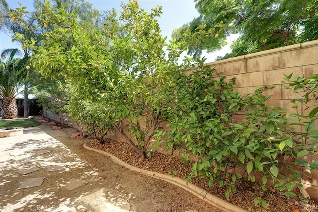 19068 Sunflower Pl, Riverside, CA 92508 - view of fenced backyard