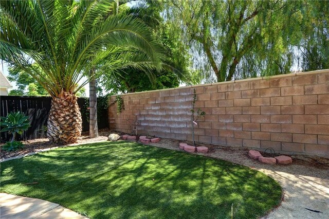 19068 Sunflower Pl, Riverside, CA 92508 - view of yard