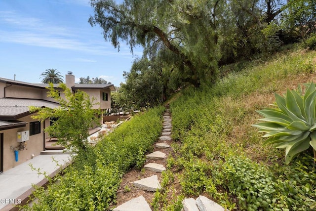 845 Rollin St, South Pasadena, CA 91030 - view of yard