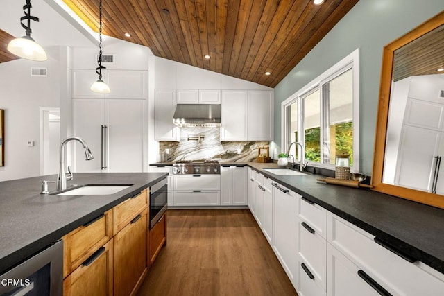 845 Rollin St, South Pasadena, CA 91030 - kitchen featuring wooden ceiling, dark countertops, lofted ceiling, under cabinet range hood, and appliances with stainless steel finishes