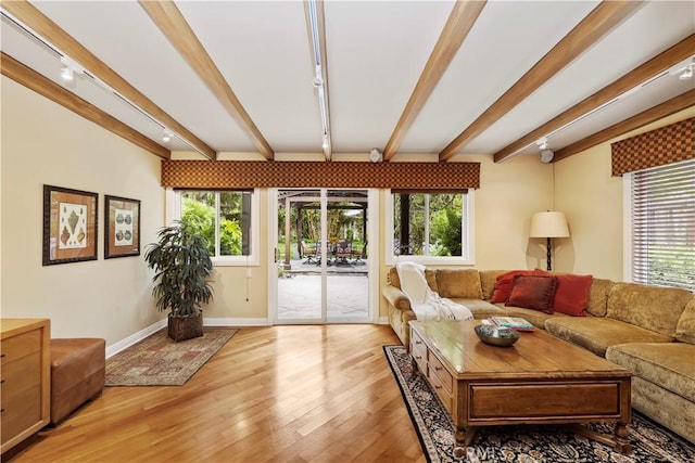129 Five Crowns Way, Encinitas, CA 92024 - living room with healthy amount of natural light, light wood-style flooring, and beamed ceiling